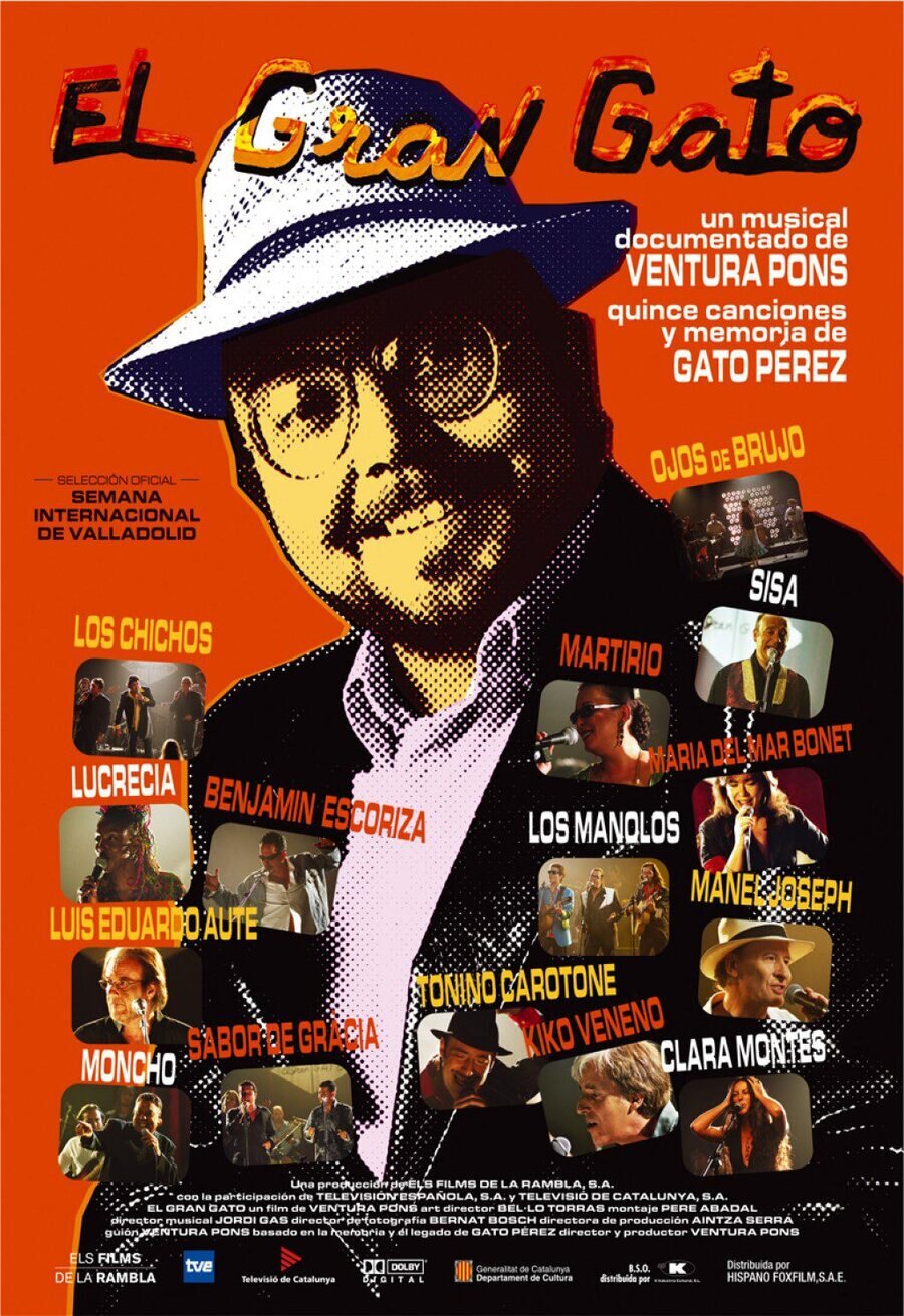 Poster of El gran gato - El gran gato