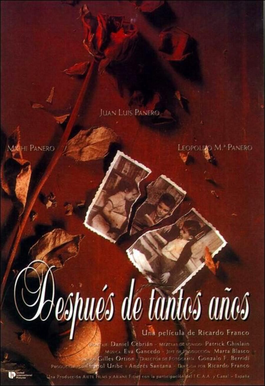 Poster of Después de tantos años - España