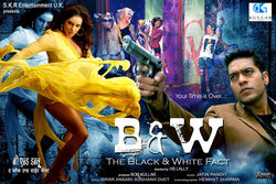 Poster B & W - The Black and White Fact