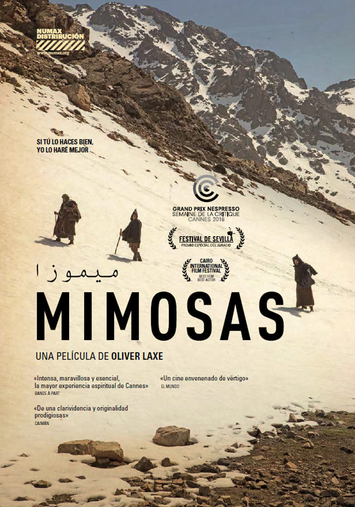 Poster of Mimosas - España #2
