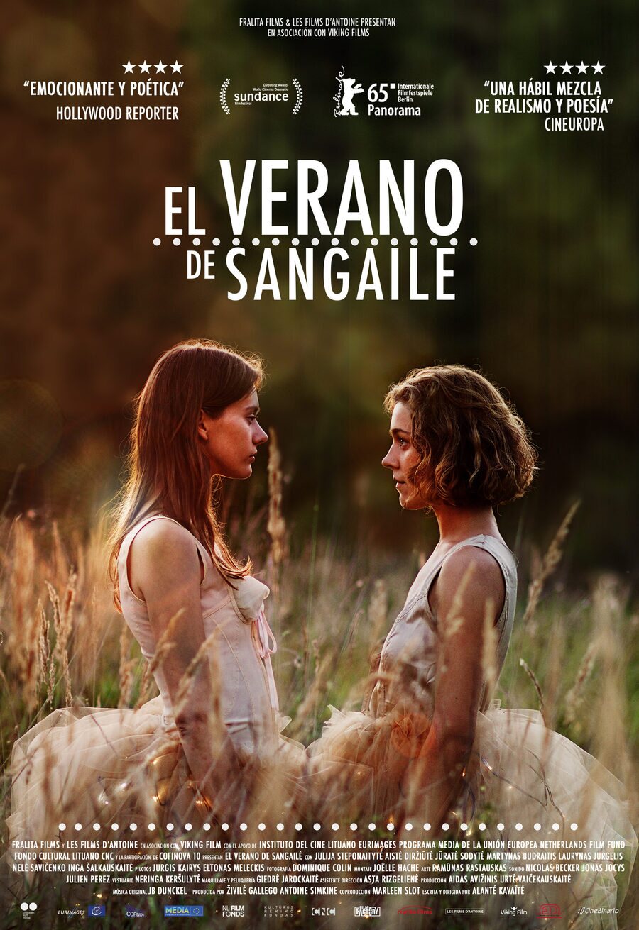Poster of The Summer of Sangaile - España