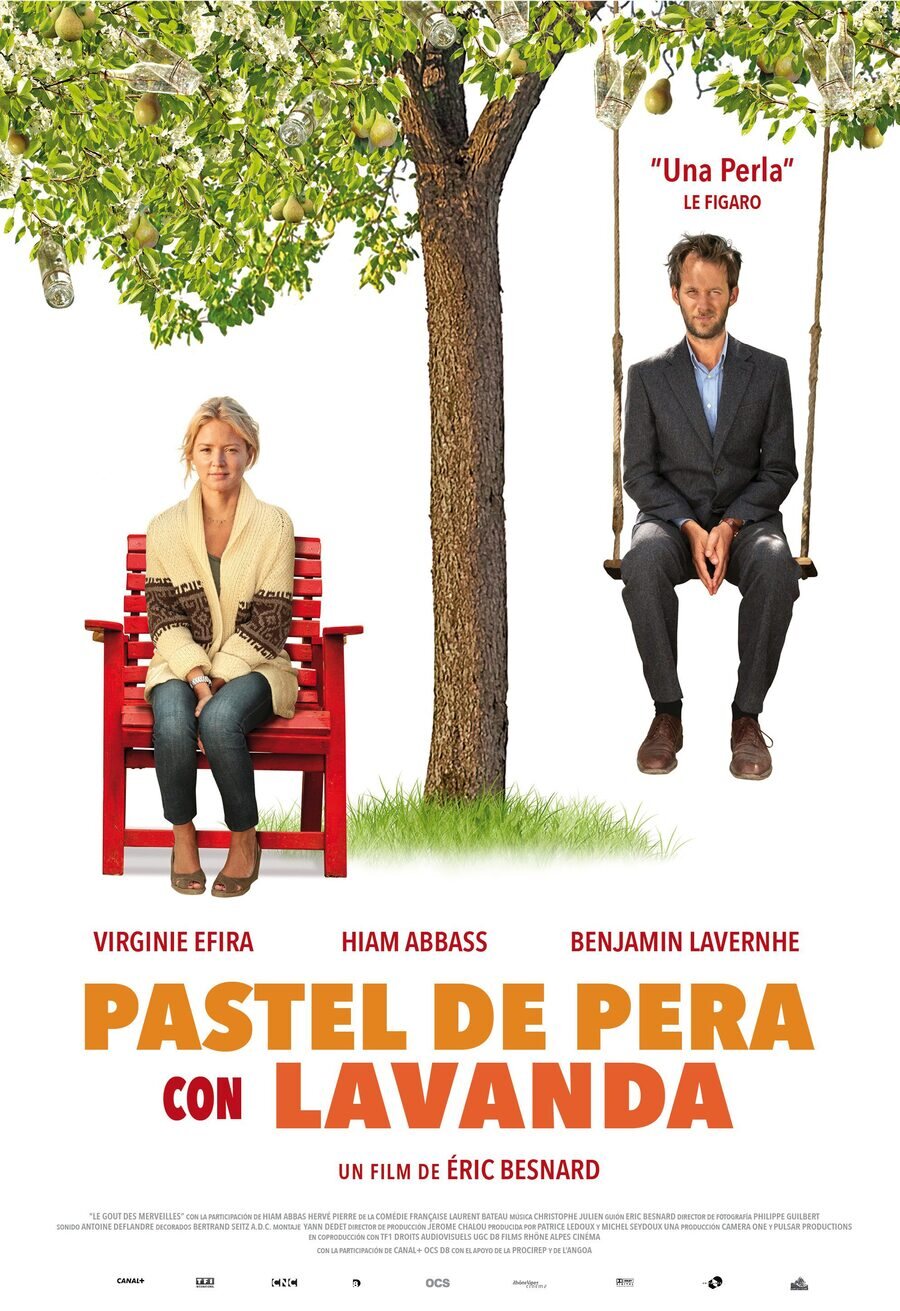 Poster of The Sense of Wonder - España