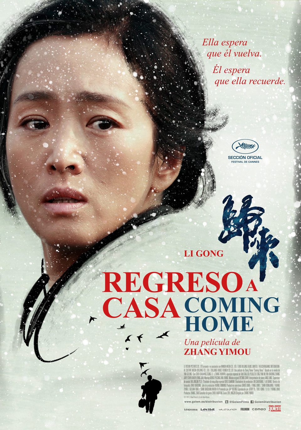 Poster of Coming Home - España