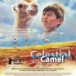 Celestial-Camel