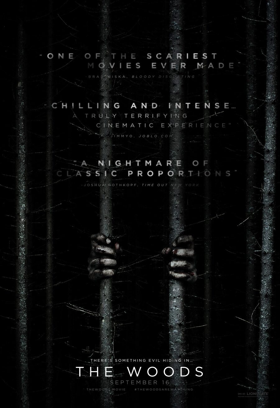 Poster of Blair Witch - Original 'The Woods'