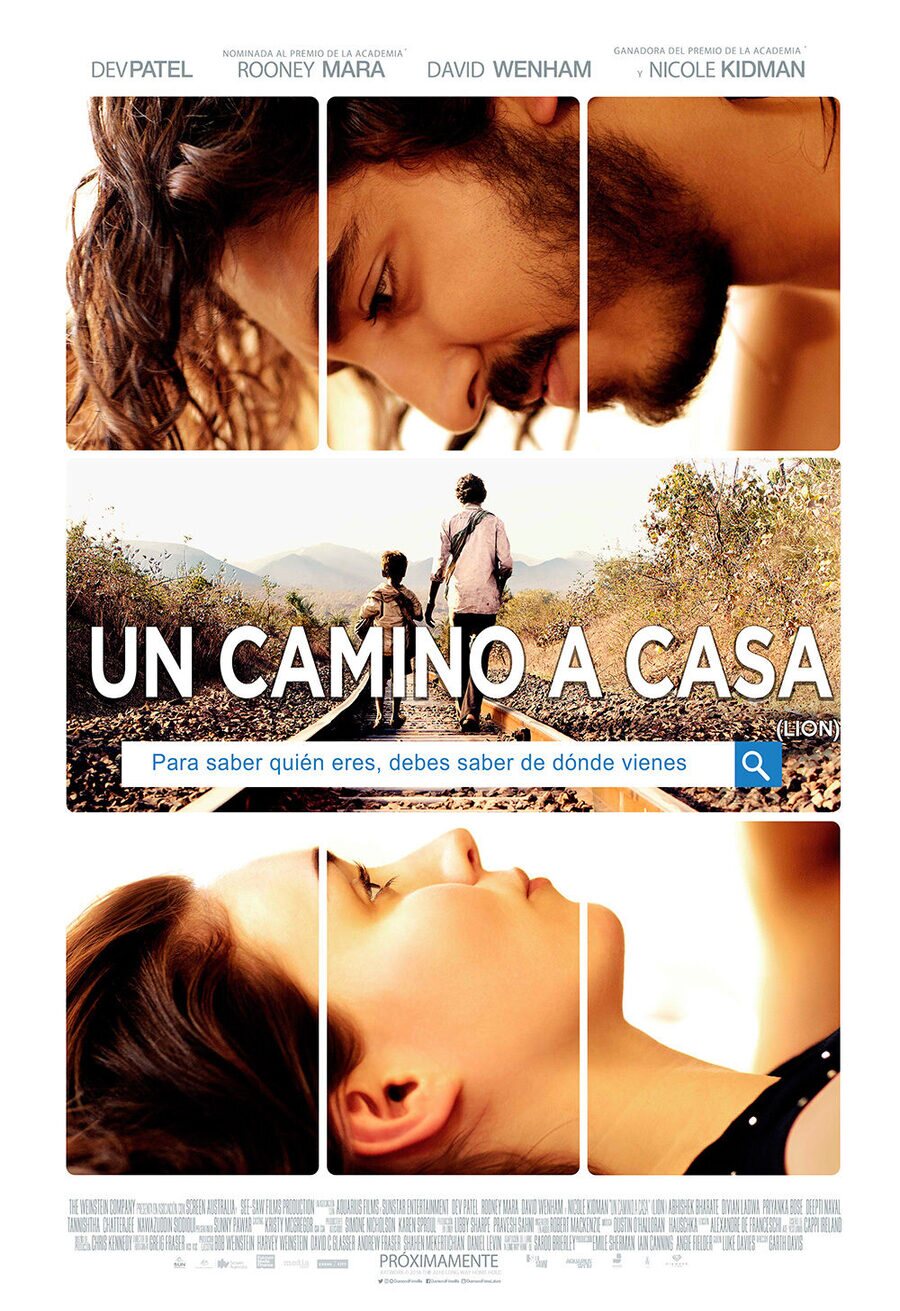 Poster of Lion - México