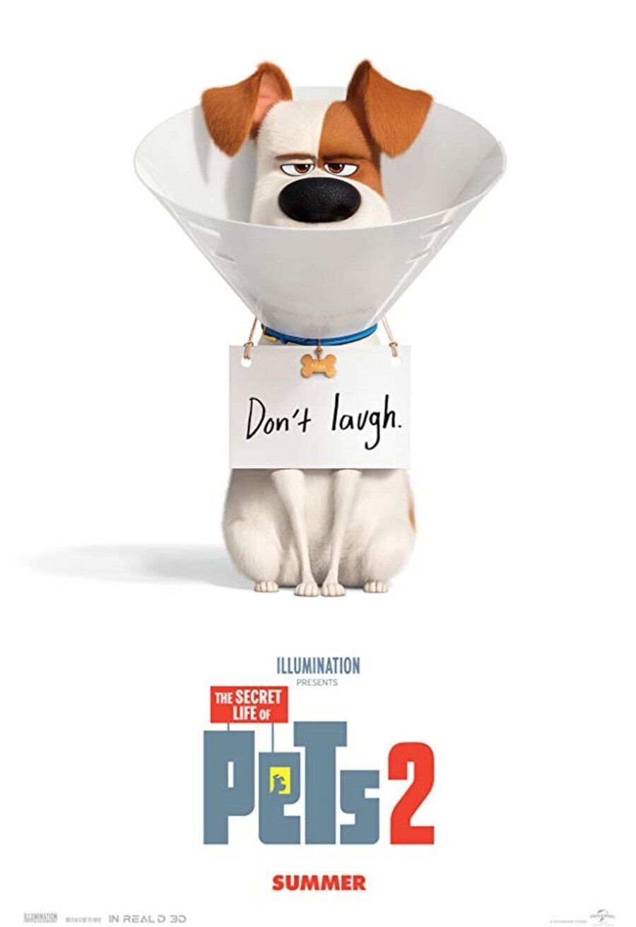 Poster of The Secret Life of Pets 2 - Internacional