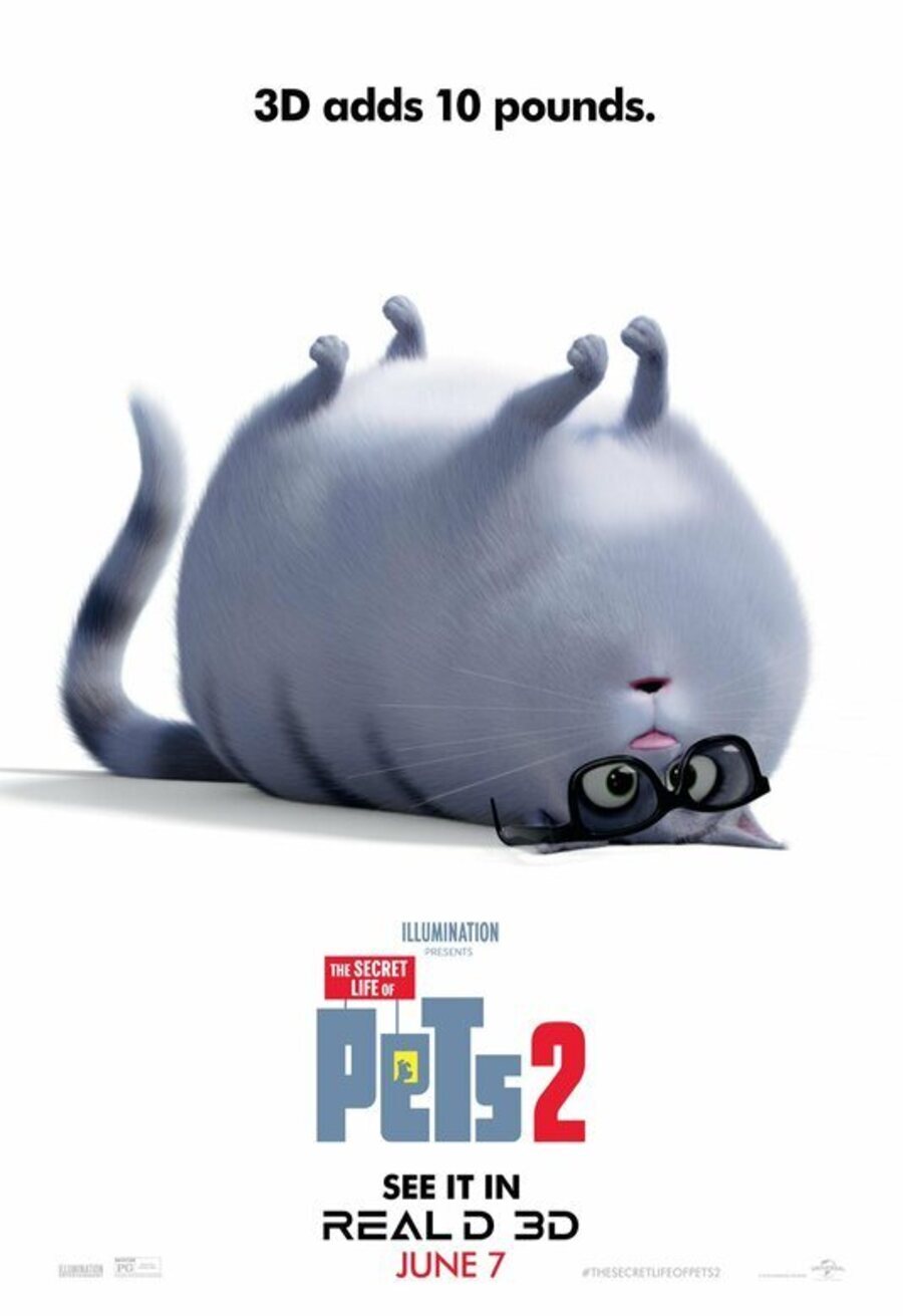 Poster of The Secret Life of Pets 2 - EEUU 3D