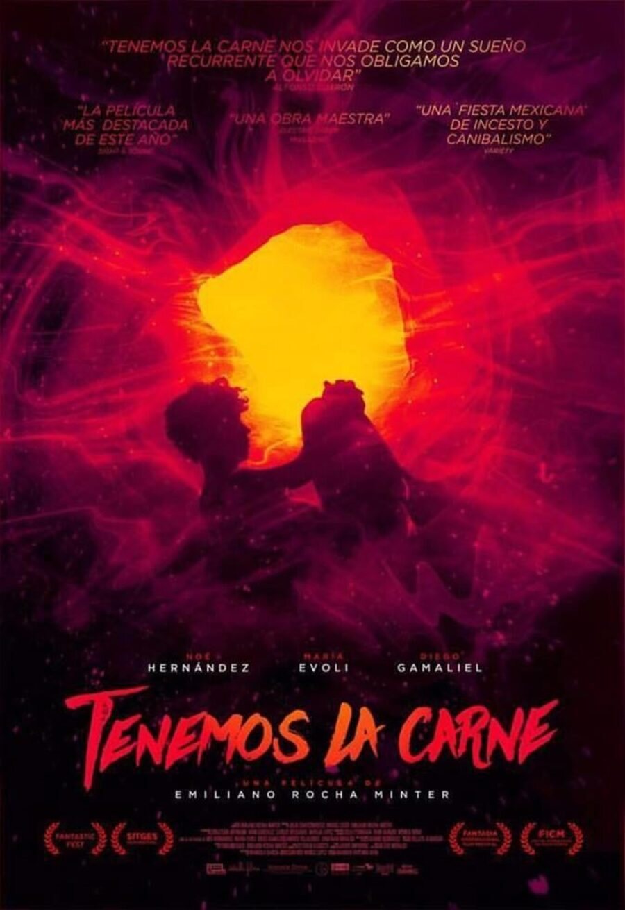 Poster of We Are The Flesh - póster español