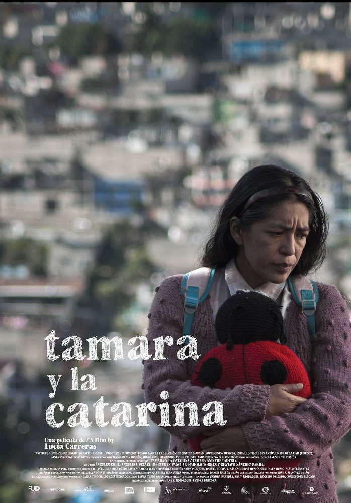 Poster of Tamara and the Ladybug - Cartel oficial