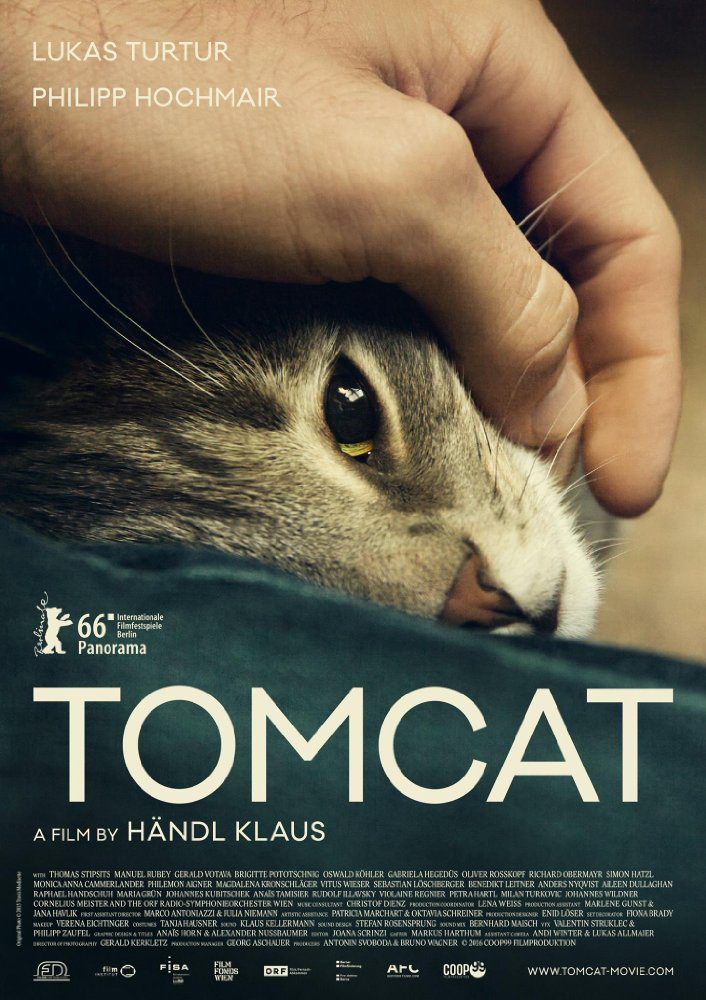 Poster of Tomcat - Reino Unido