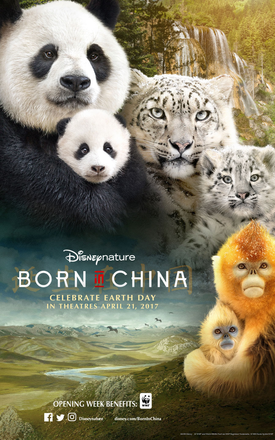 Poster of Born in China - 