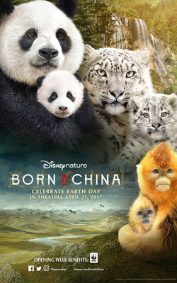 Poster Born in China