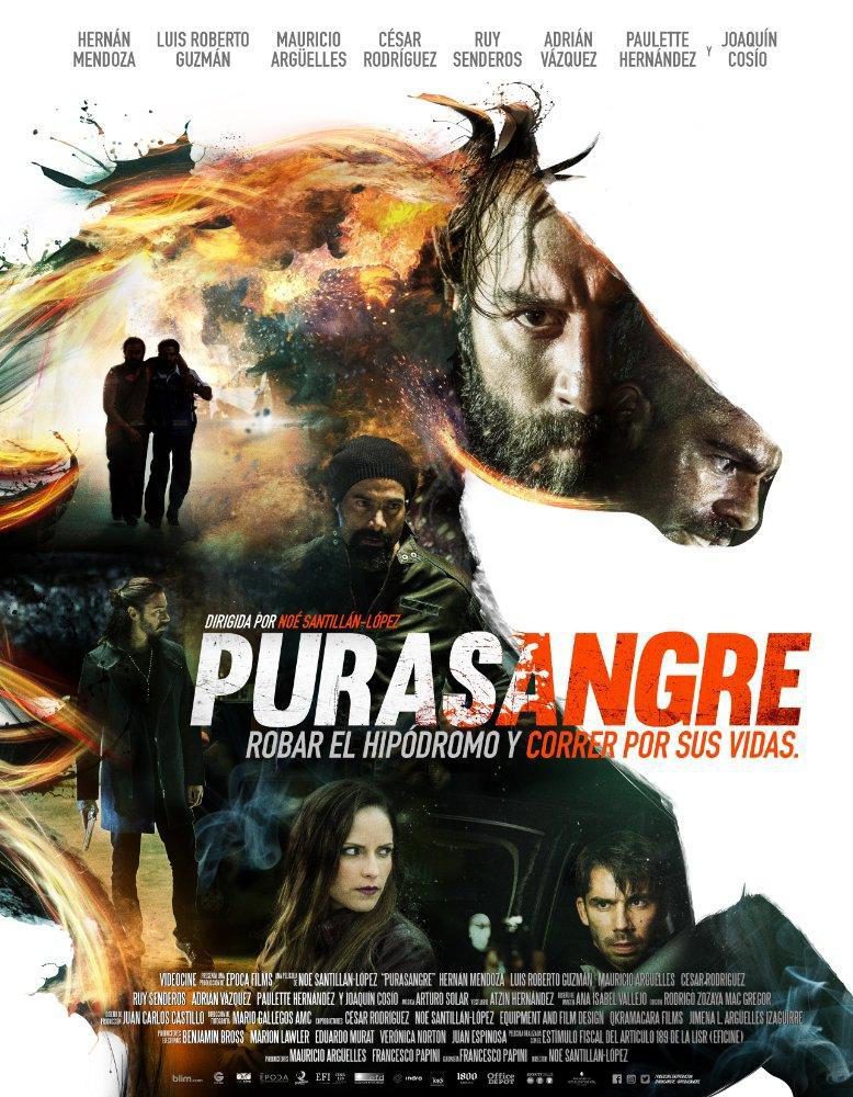 Poster of Purasangre - Póster oficial