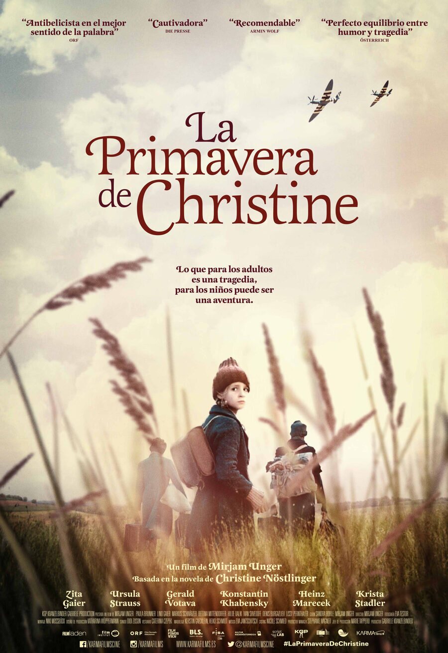 Poster of Fly Away Home - España