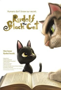 Rudolf the Black Cat