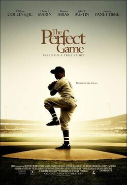 Poster The Perfect Game