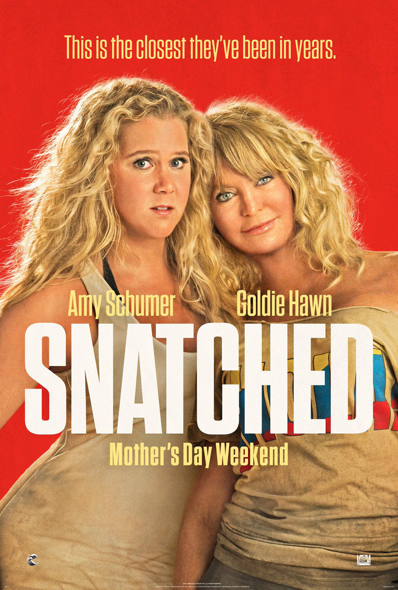 Poster of Snatched - Estados Unidos