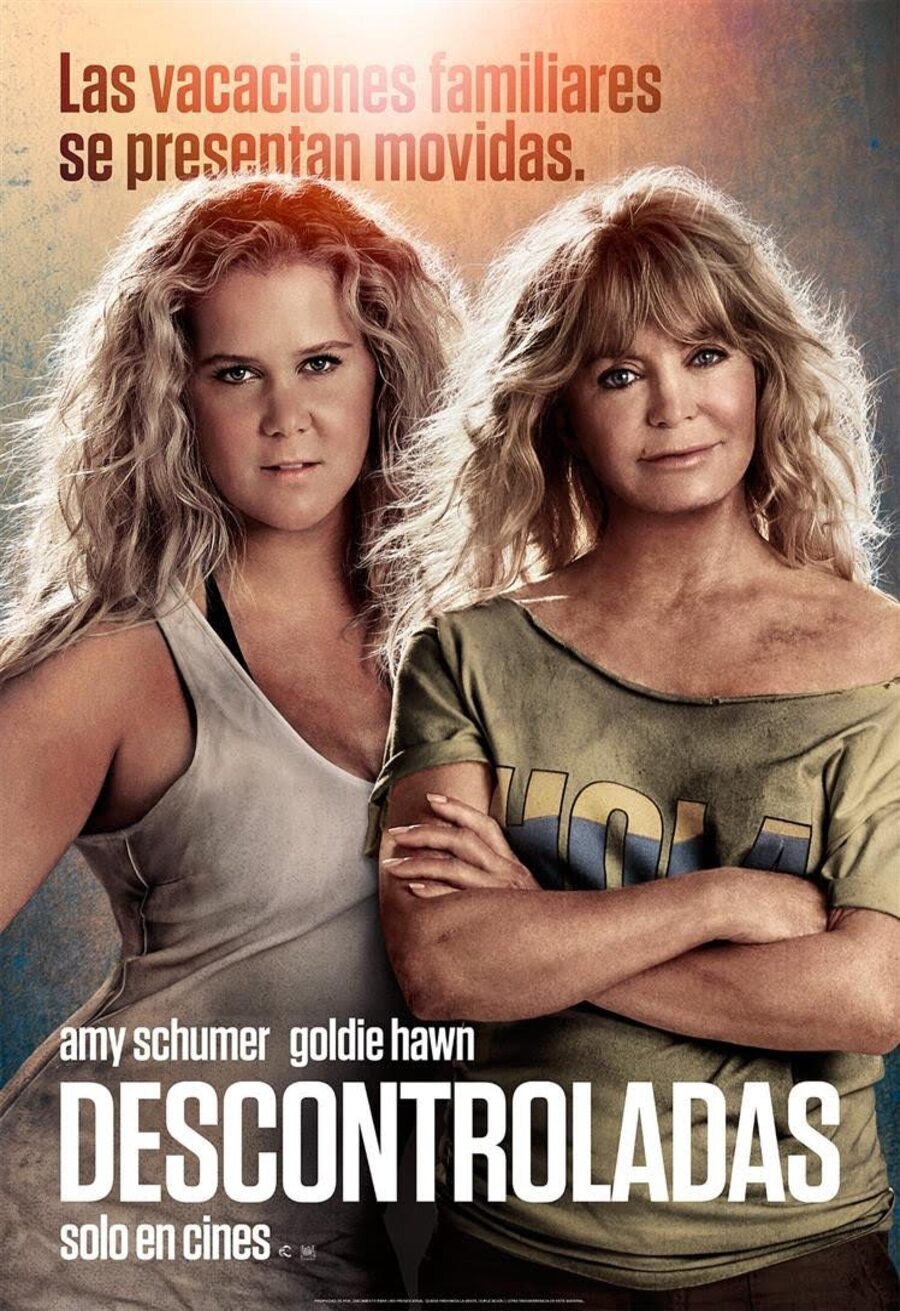 Poster of Snatched - España