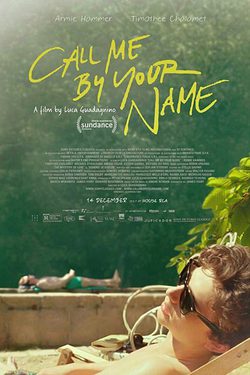 Póster 'Call Me By Your Name' #2
