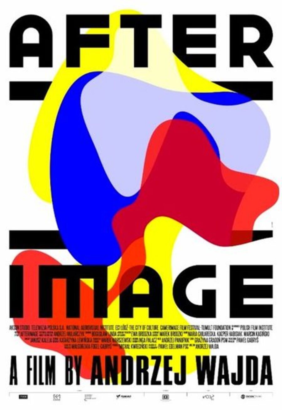 Poster of Afterimage - Cartel oficial