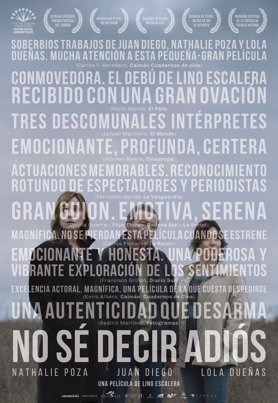 Poster of No sé decir adiós - España #2