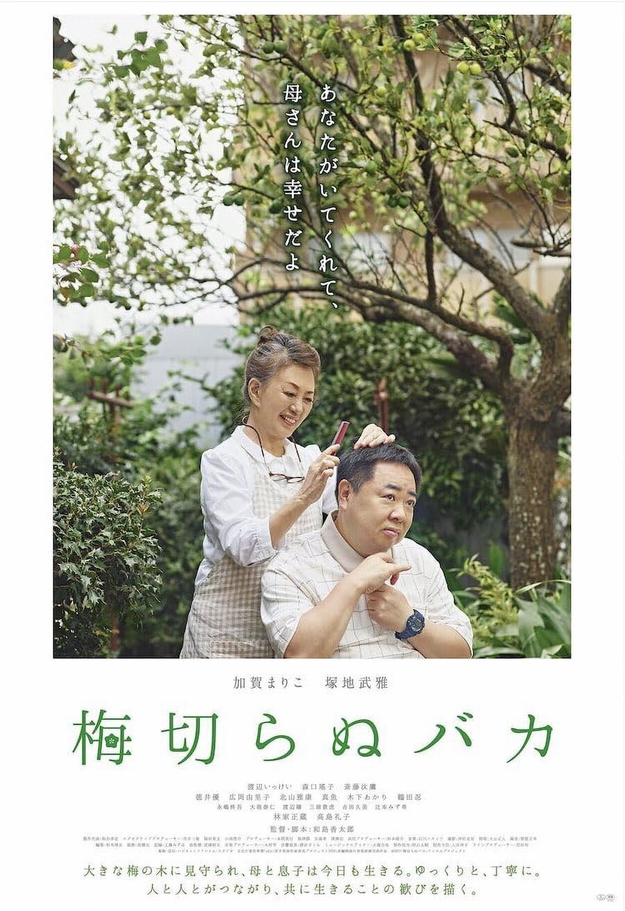 Poster of The Lone Ume Tree - Japón