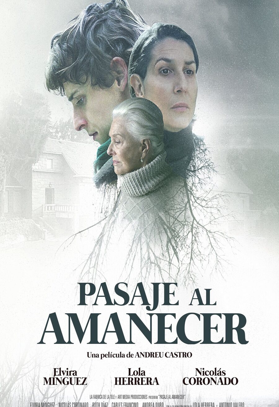 Poster of Passage To Dawn - Pasaje al amanecer