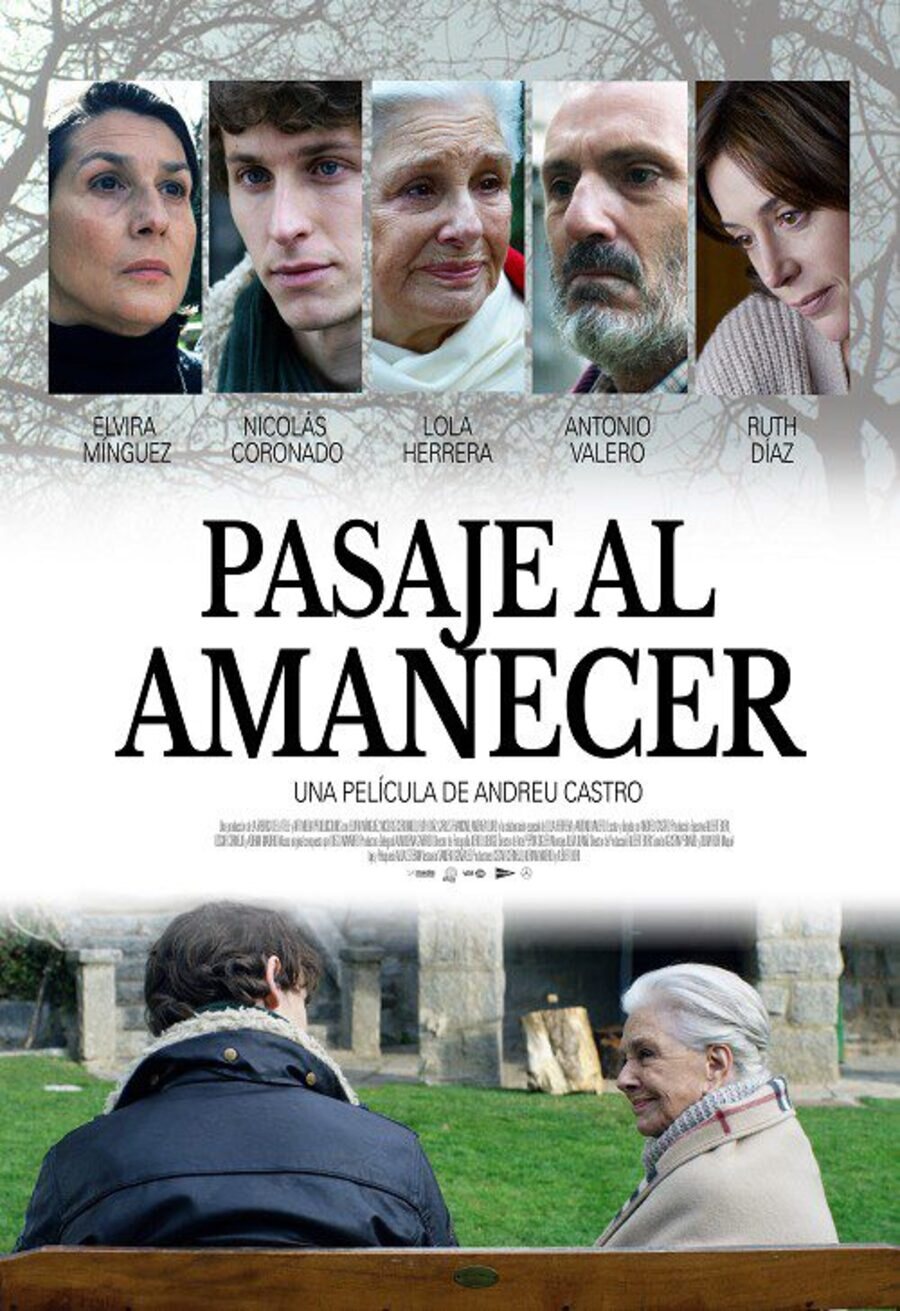 Poster of Passage To Dawn - Pasaje al amanecer #2