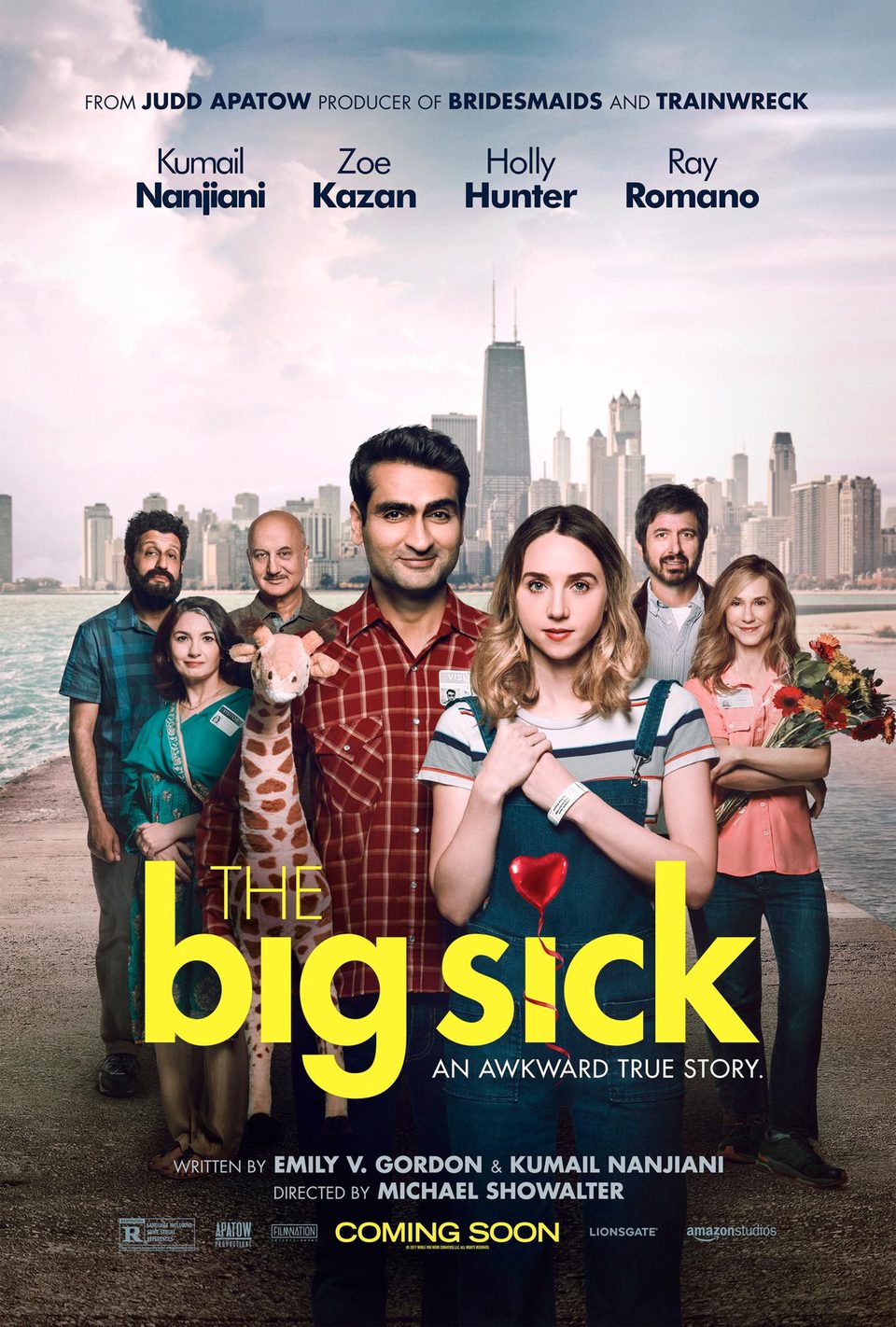 Poster of The Big Sick - Póster oficial