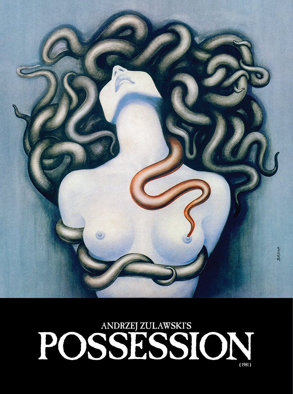 Poster of Possession - La posesión