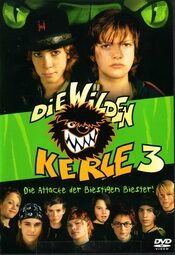 Die wilden Kerle 3