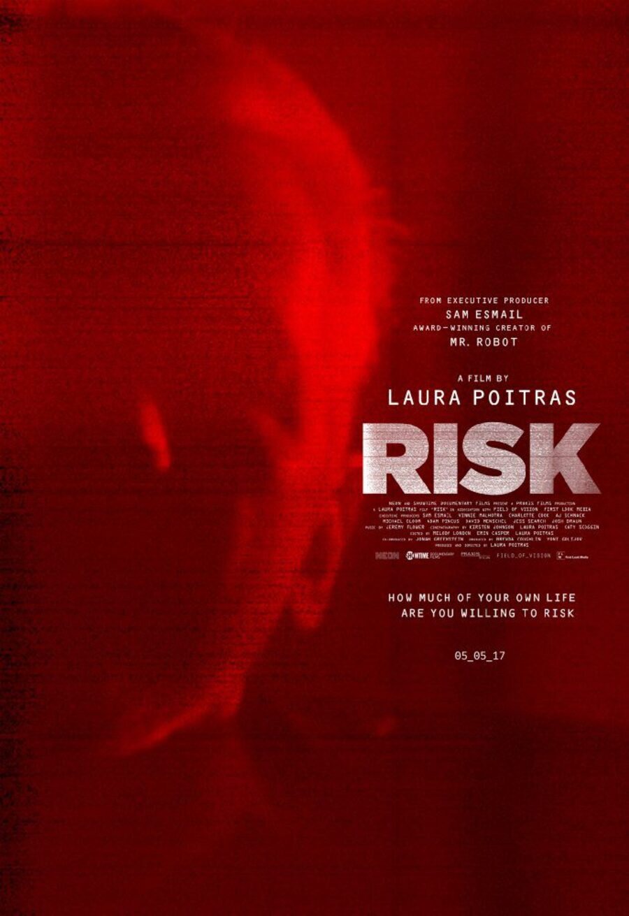 Poster of Risk - 'Risk' Póster oficial
