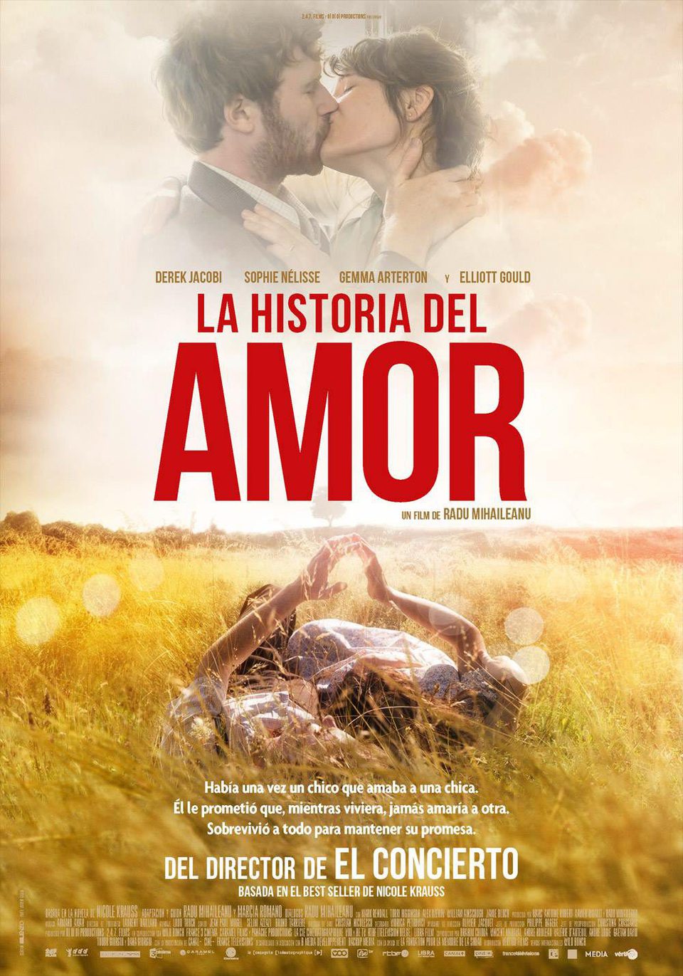 Poster of The History of Love - España
