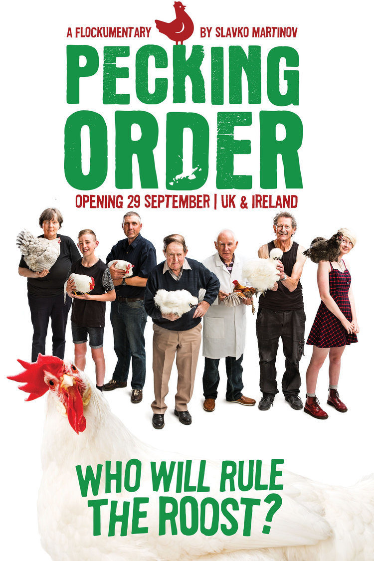Poster of Pecking Order - Internacional
