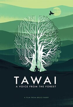 Poster Tawai: A voice from the forest