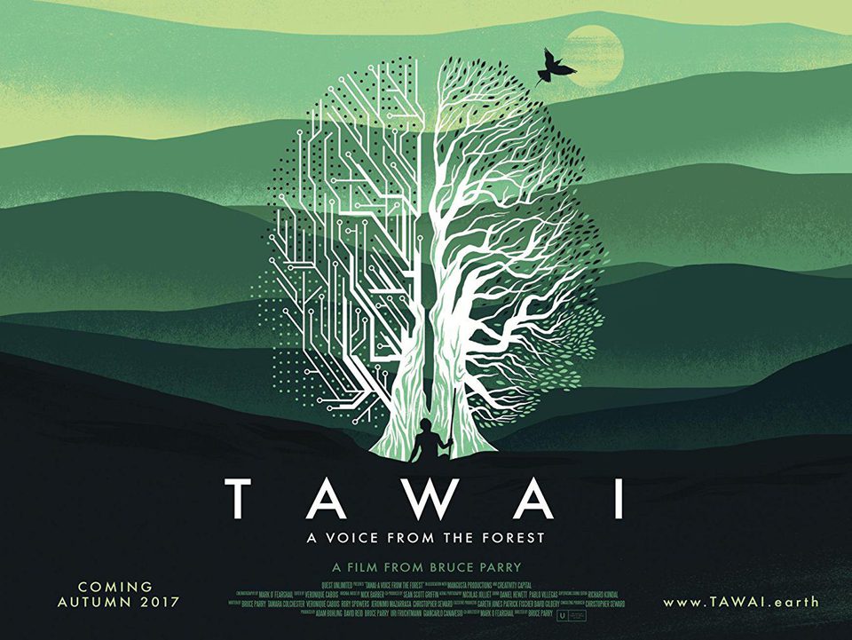 Poster of Tawai: A voice from the forest - Reino Unido #2