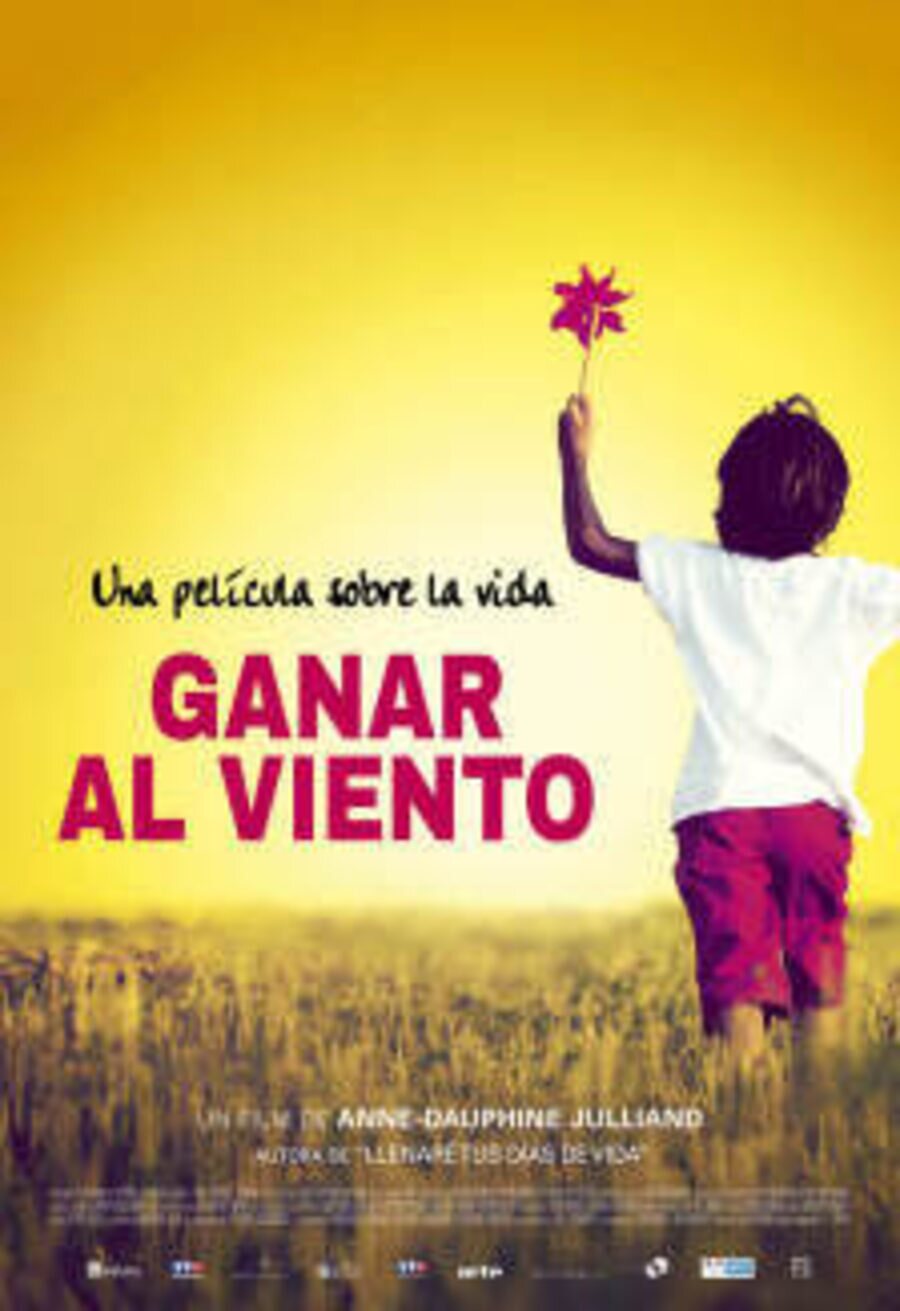 Poster of Ganar al viento - España