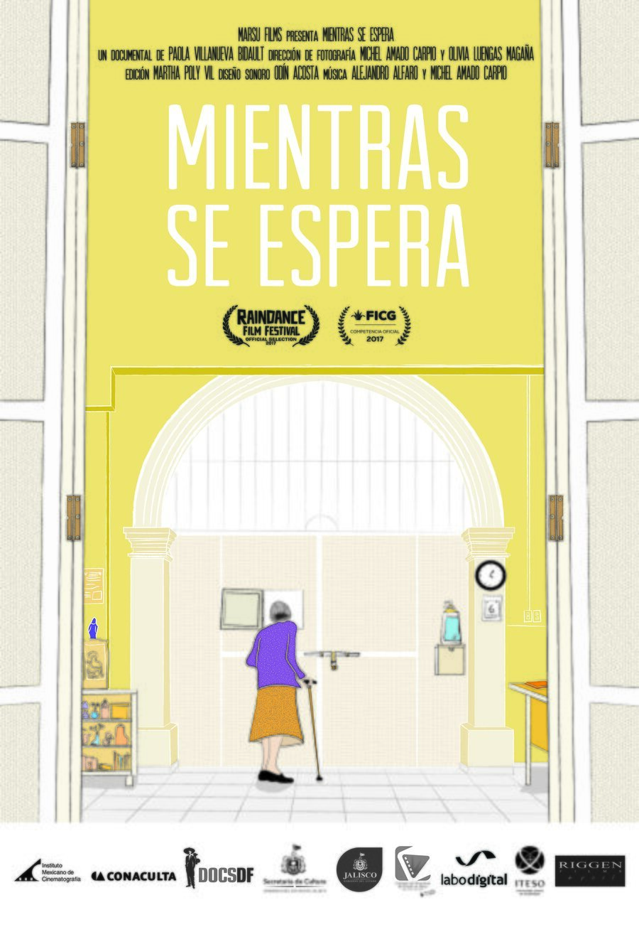 Poster of While Waiting - México