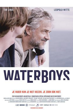 Poster Waterboys