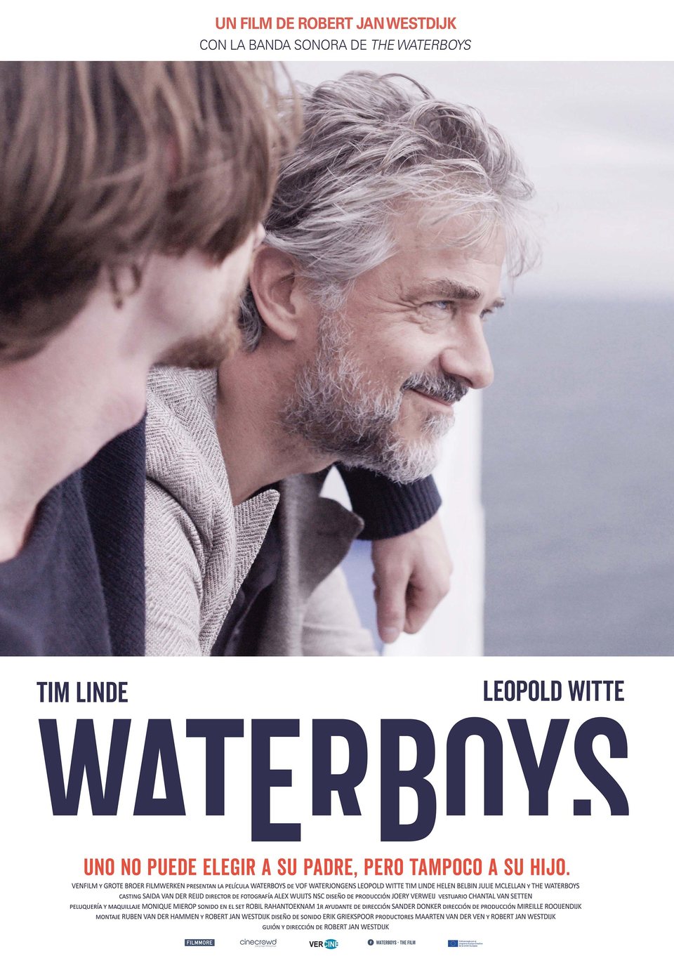 Poster of Waterboys - Cartel español 'Waterboys'