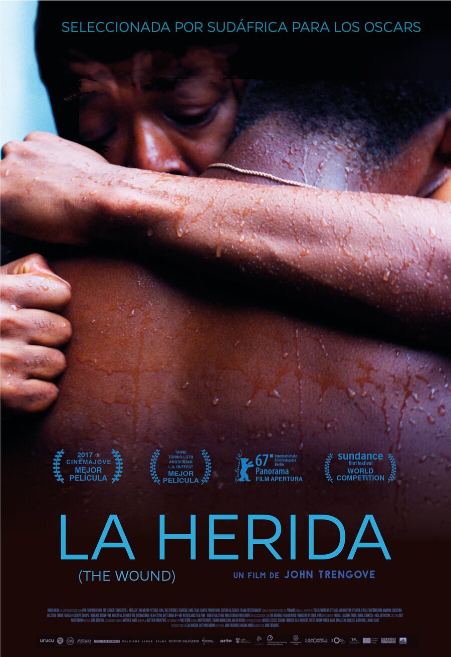 Poster of The Wound - La herida (The Wound)