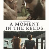 A Moment in the Reeds