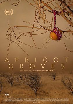 Poster Apricot Groves