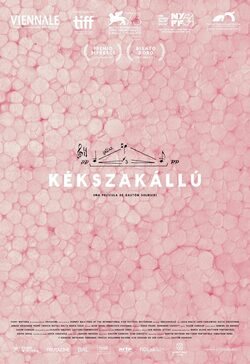 Poster Kékszakállú