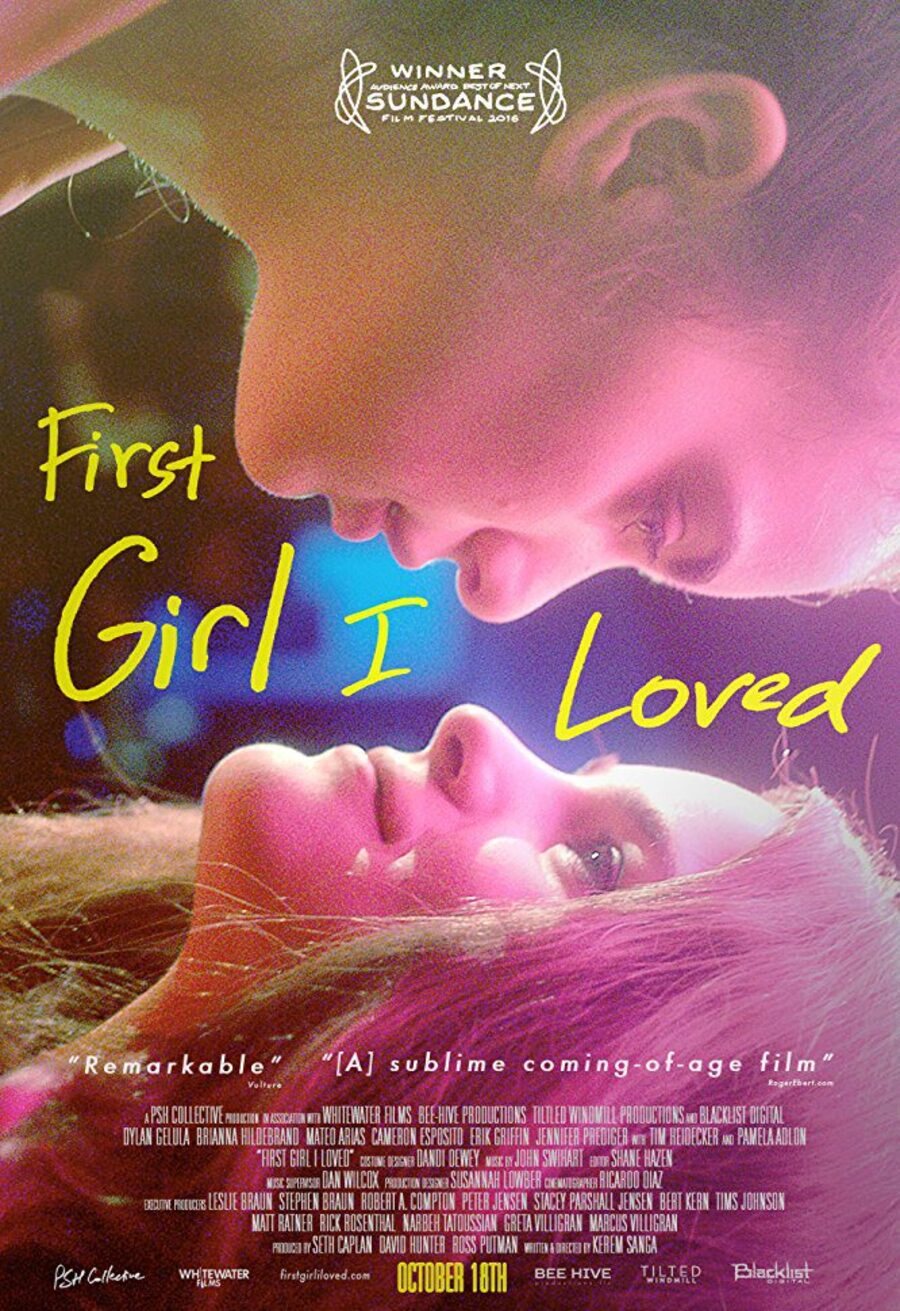 Poster of First Girl I Loved - Póster