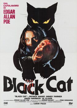 Poster The Black Cat