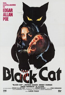 The Black Cat