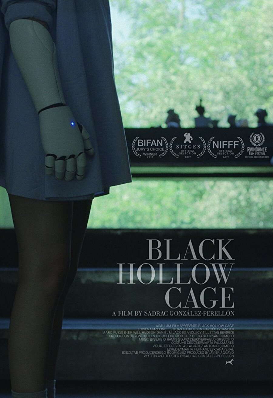 Poster of Black Hollow Cage - Póster 2 EEUU