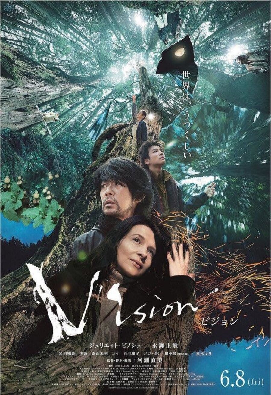 Poster of Vision - póster